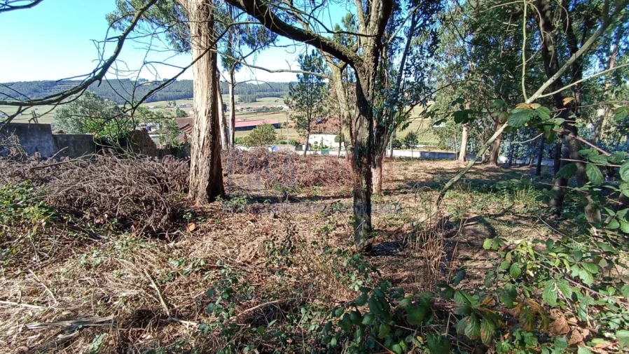 Terreno para Venda em Rates Foto 4