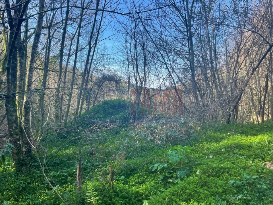 Terreno para Venda em Caniçada e Soengas Foto 6