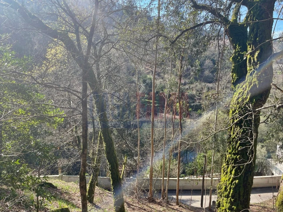 Terreno para Venda em Caniçada e Soengas Foto 11