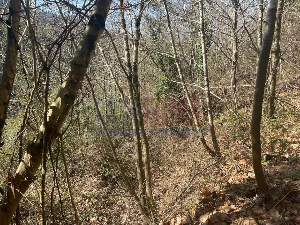 Terreno para Venda em Caniçada e Soengas Foto 15
