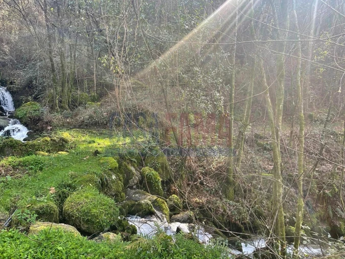 Terreno para Venda em Caniçada e Soengas Foto 5