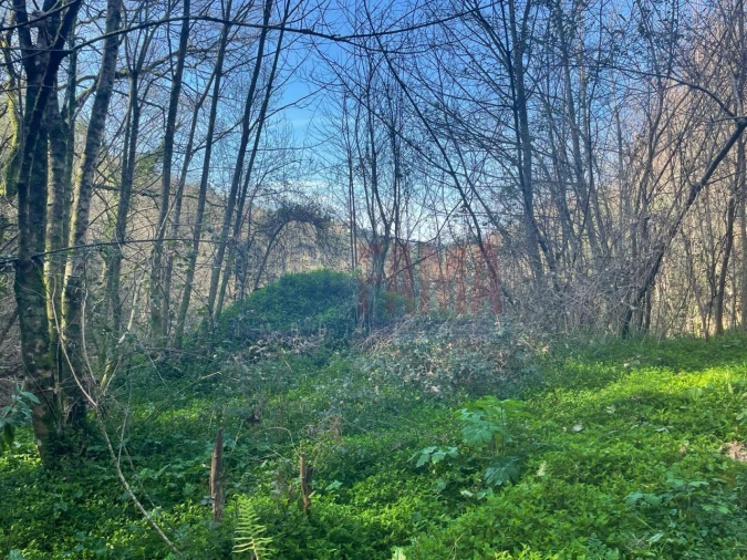 Terreno para Venda em Caniçada e Soengas Foto 6