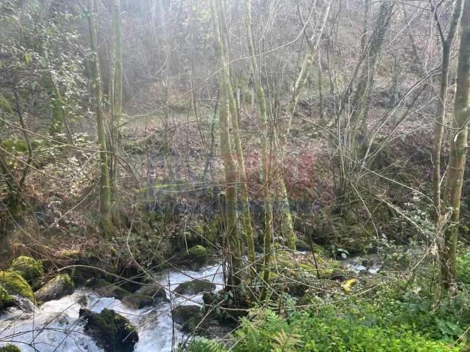 Terreno para Venda em Caniçada e Soengas Foto 7