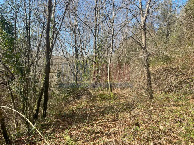 Terreno para Venda em Caniçada e Soengas Foto 17