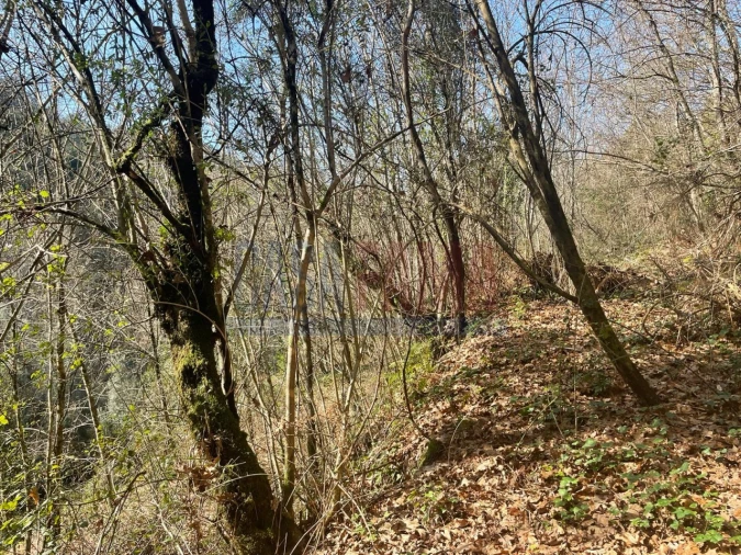Terreno para Venda em Caniçada e Soengas Foto 18
