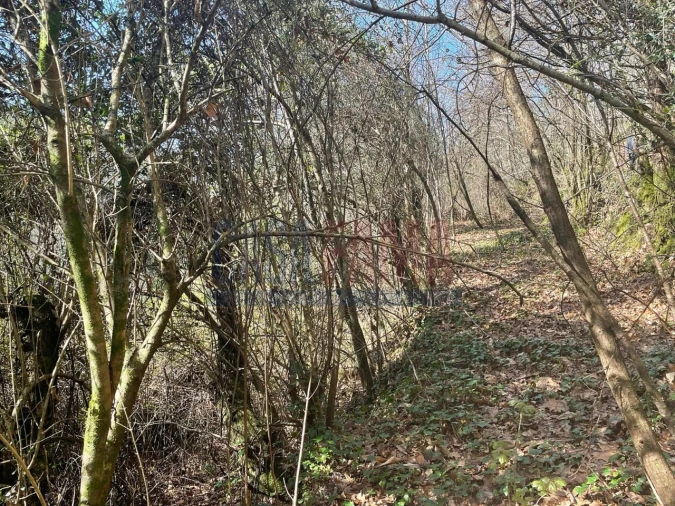Terreno para Venda em Caniçada e Soengas Foto 20