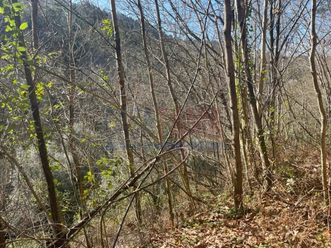 Terreno para Venda em Caniçada e Soengas Foto 22
