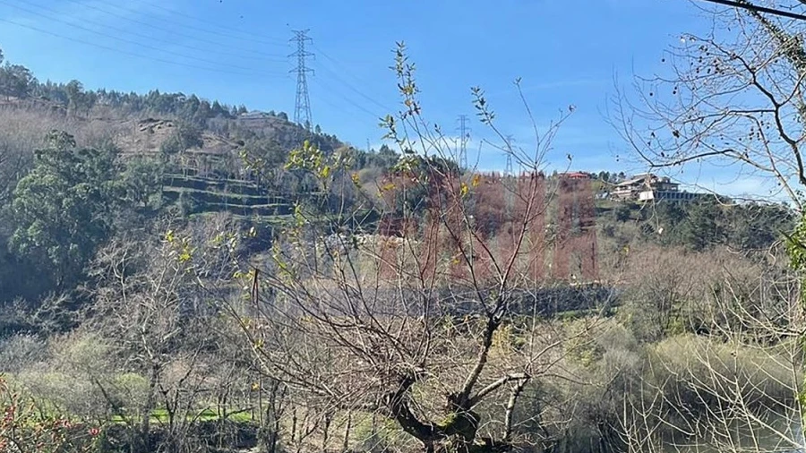 Terreno para Venda em Caniçada e Soengas
