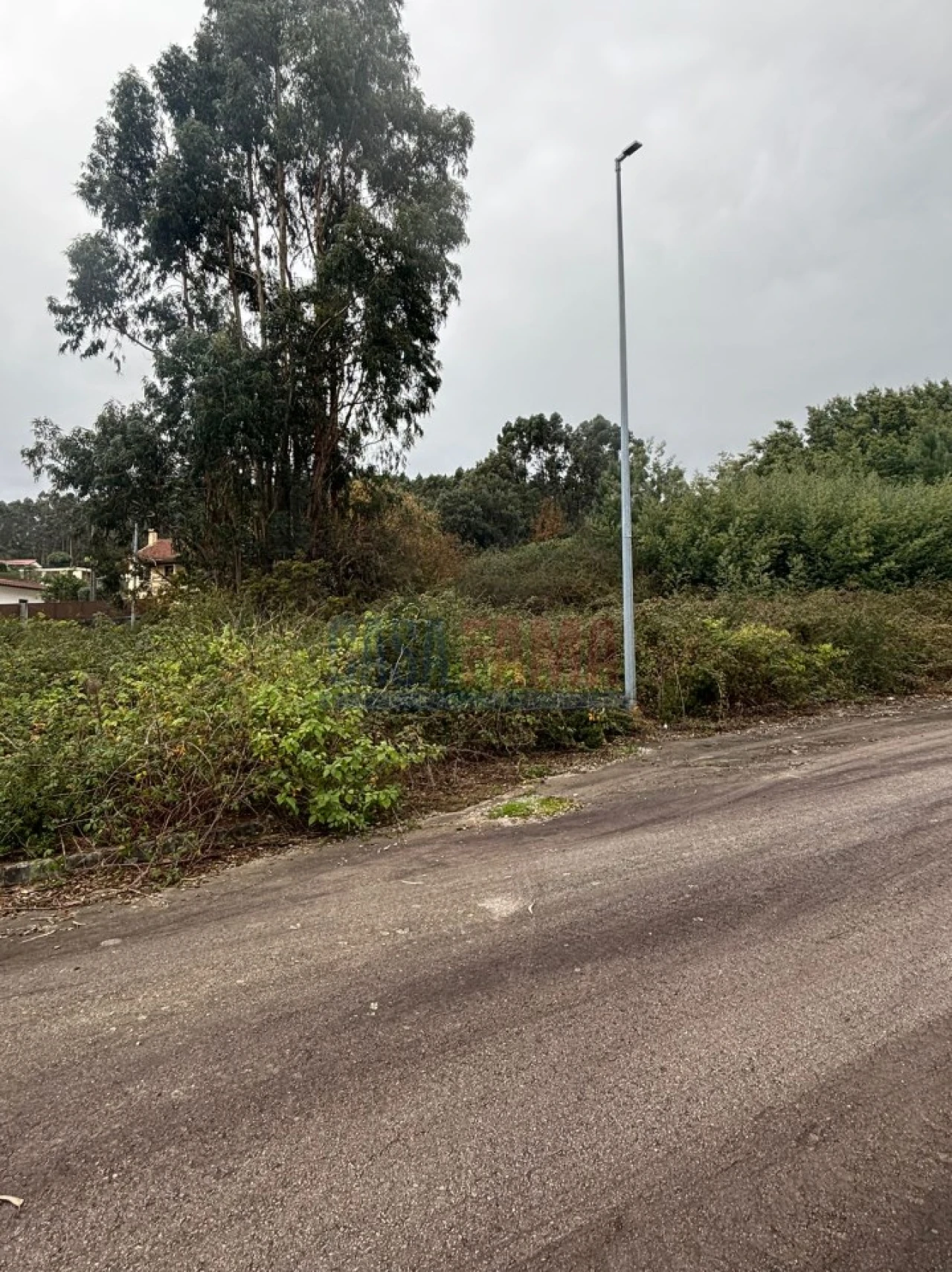 Terreno para Venda em Escariz (São Mamede) e Escariz (São Martinho) Foto 12