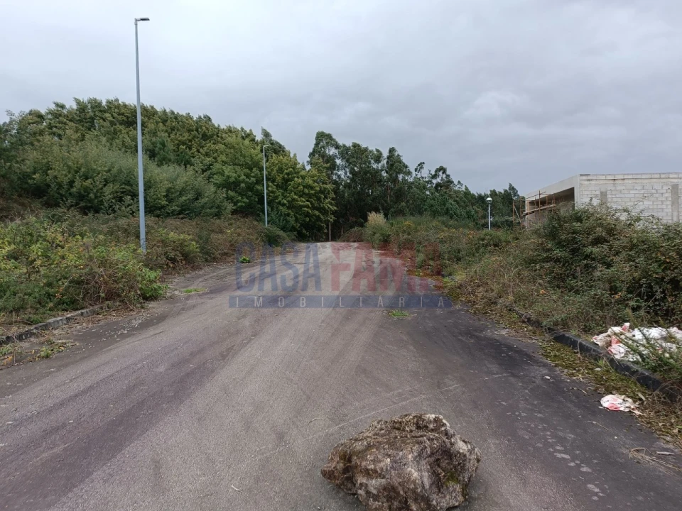Terreno para Venda em Escariz (São Mamede) e Escariz (São Martinho) Foto 23