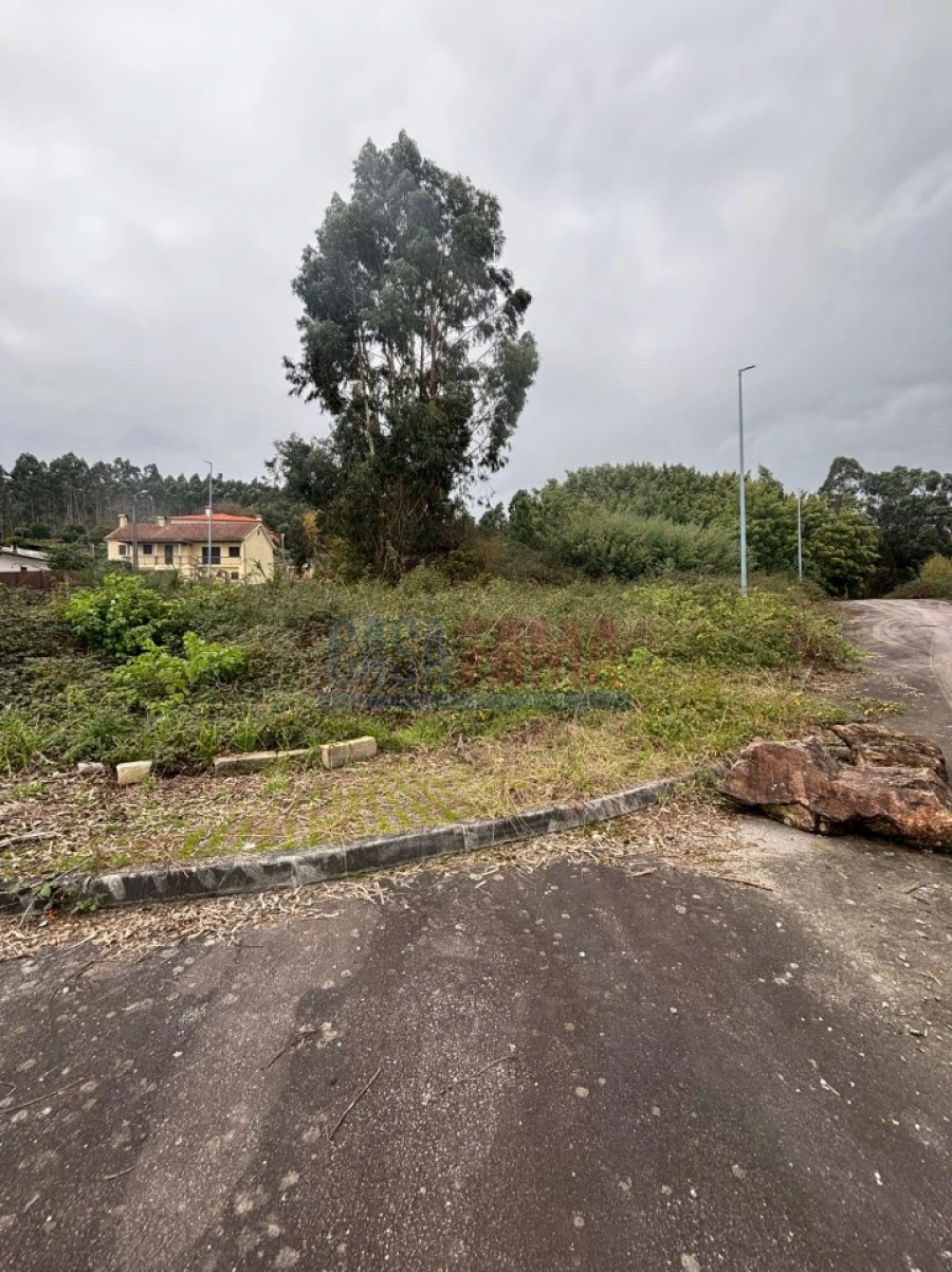 Terreno para Venda em Escariz (São Mamede) e Escariz (São Martinho) Foto 19