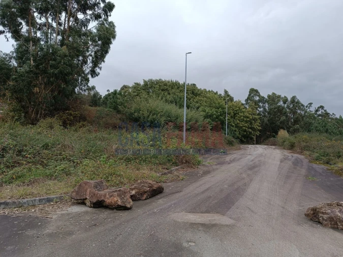 Terreno para Venda em Escariz (São Mamede) e Escariz (São Martinho) Foto 22