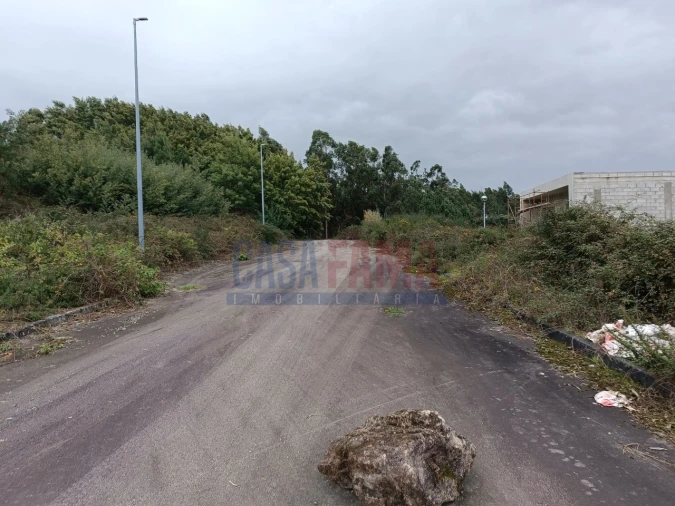 Terreno para Venda em Escariz (São Mamede) e Escariz (São Martinho) Foto 23