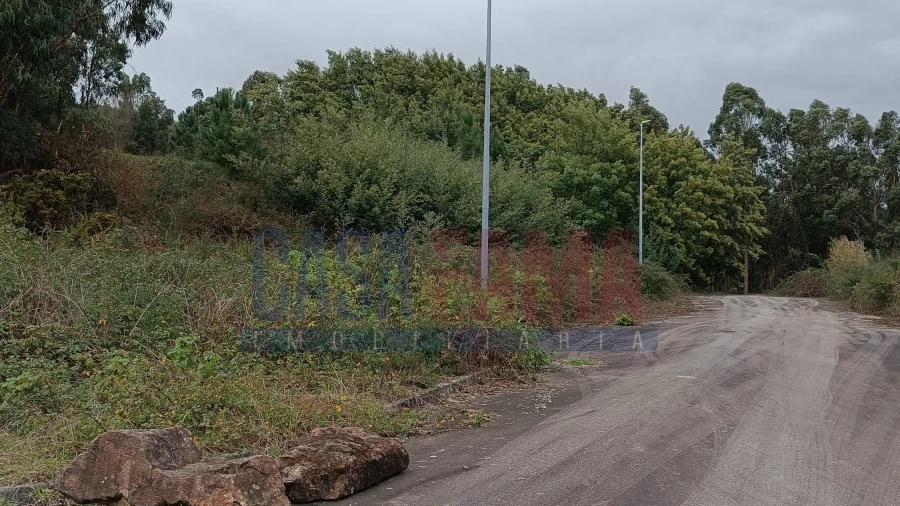 Terreno para Venda em Escariz (São Mamede) e Escariz (São Martinho)