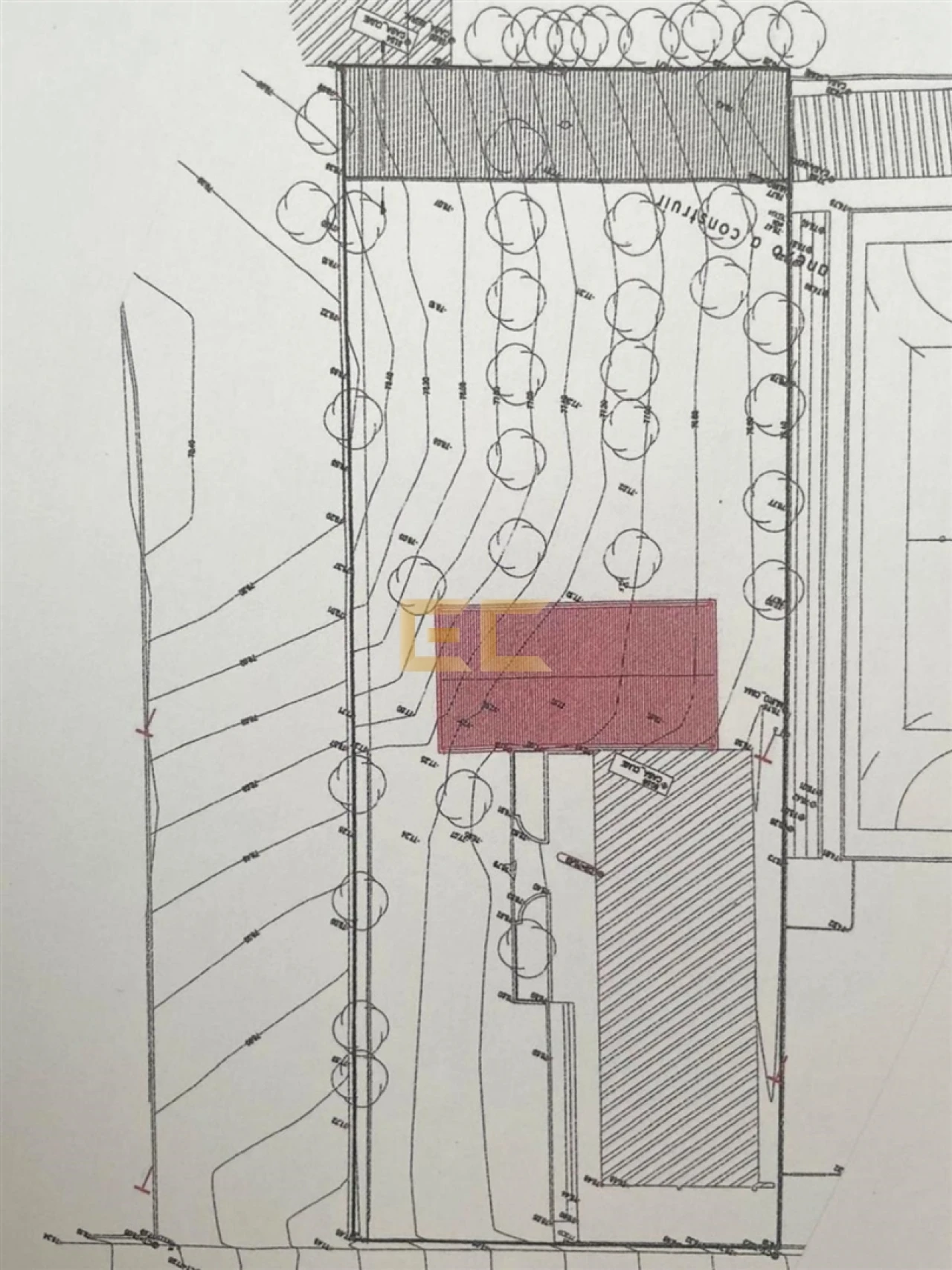 Armazém para Venda em Cadima Foto 21