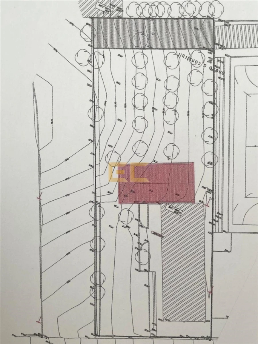 Armazém para Venda em Cadima Foto 21