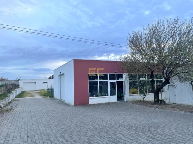 Armazém para Venda em Cadima Foto 11