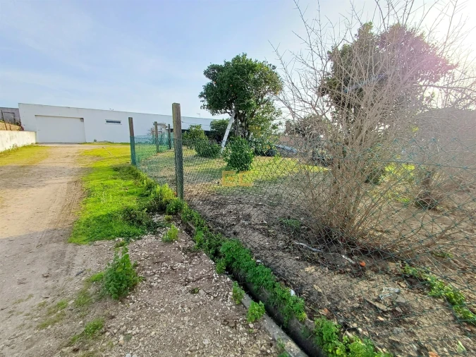 Armazém para Venda em Cadima Foto 15