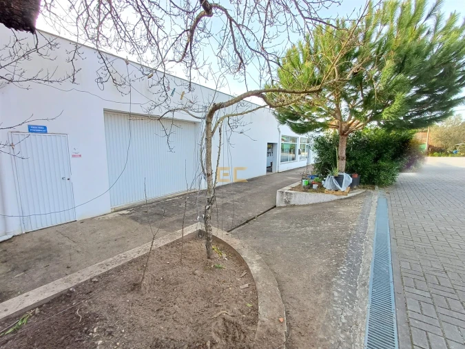 Armazém para Venda em Cadima Foto 8