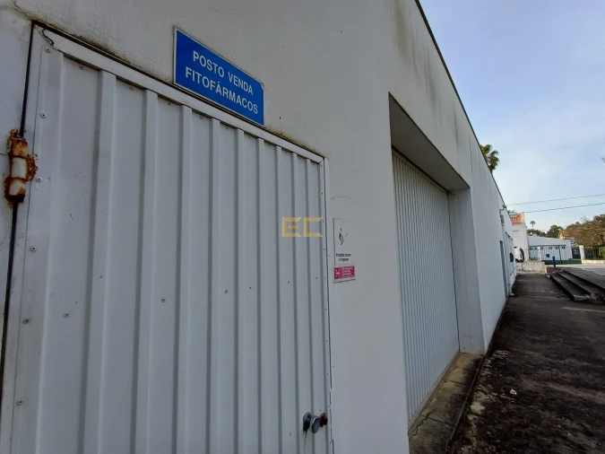 Armazém para Venda em Cadima Foto 9