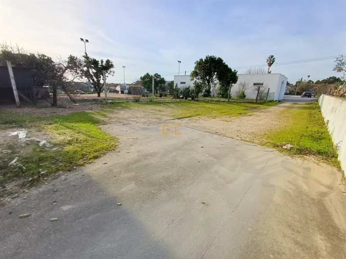 Armazém para Venda em Cadima Foto 16