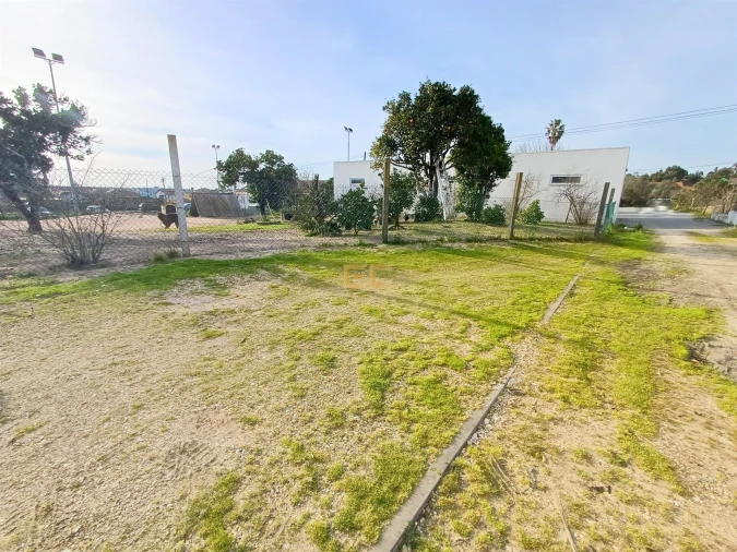 Armazém para Venda em Cadima Foto 17