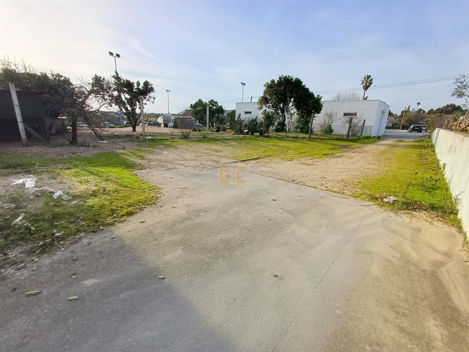 Armazém para Venda em Cadima Foto 16