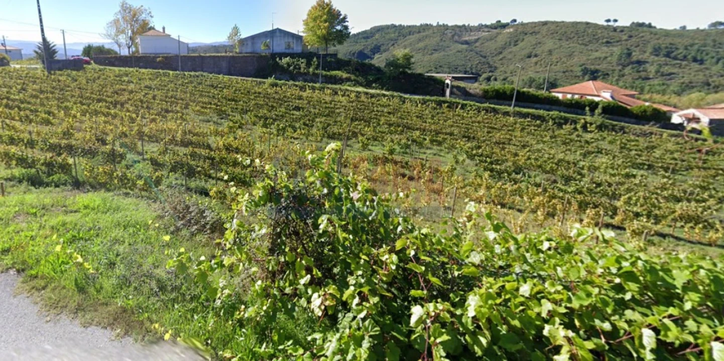 Terreno para Venda em Gove Foto 20