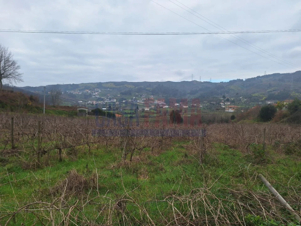 Terreno para Venda em Gove Foto 10