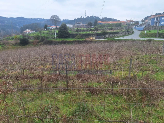 Terreno para Venda em Gove Foto 7