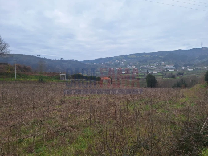 Terreno para Venda em Gove Foto 8