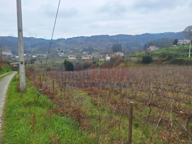 Terreno para Venda em Gove Foto 16