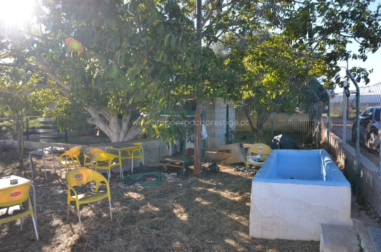 Quinta T3 para Venda em Conceição e Estoi Foto 56