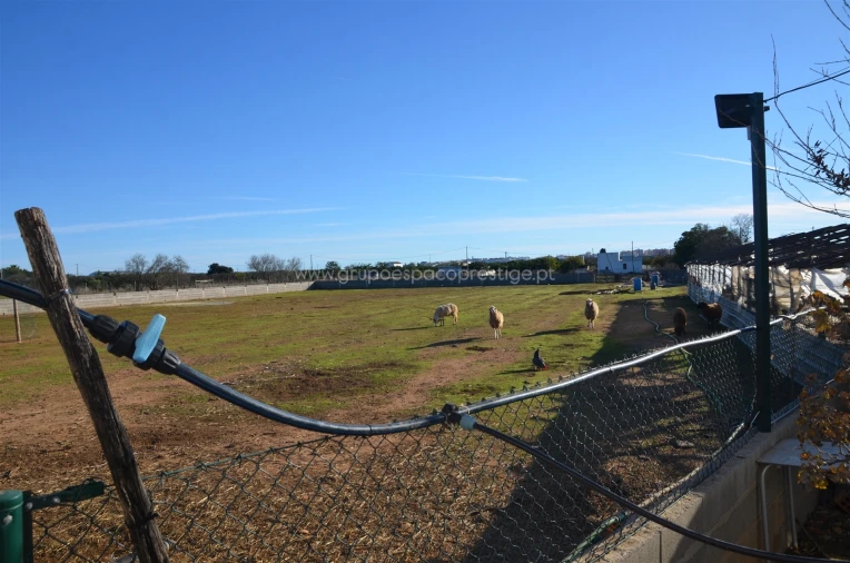 Quinta T3 para Venda em Conceição e Estoi Foto 49