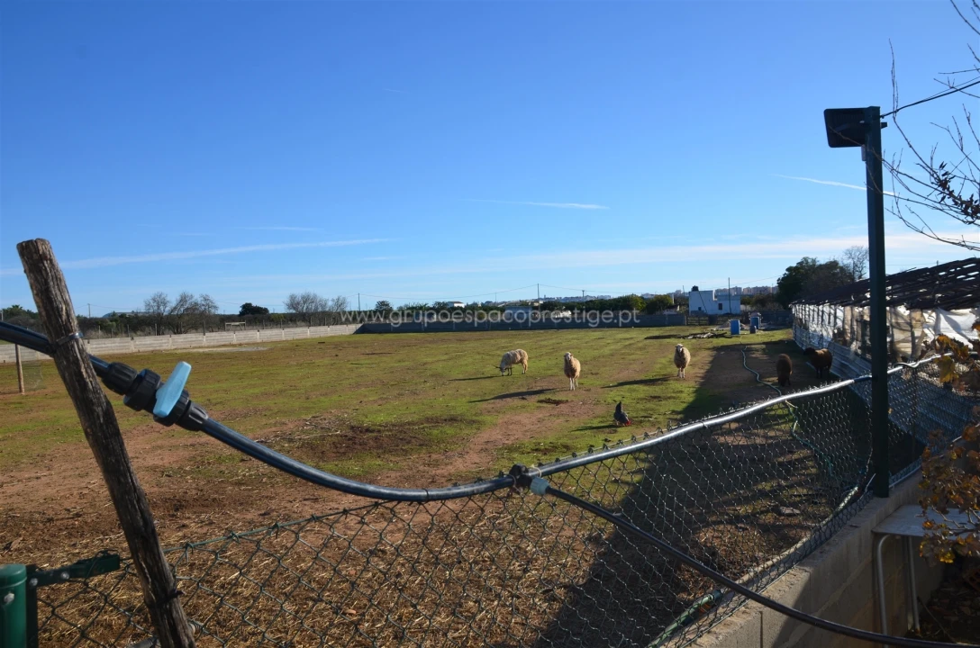 Quinta T3 para Venda em Conceição e Estoi Foto 49