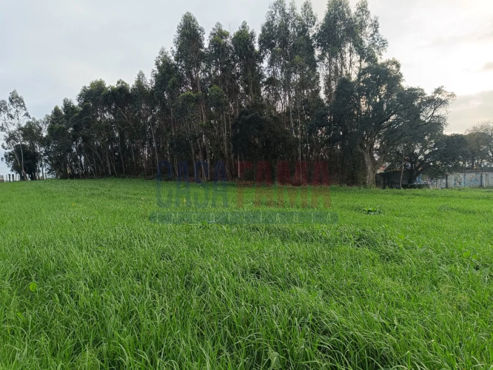 Terreno para Venda em Póvoa de Varzim, Beiriz e Argivai Foto 3