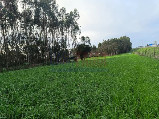 Terreno para Venda em Póvoa de Varzim, Beiriz e Argivai Foto 4