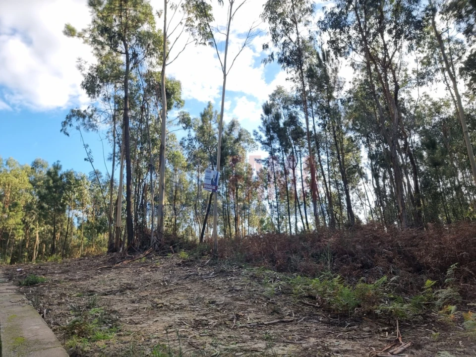 Terreno para Venda em Alvelos Foto 5