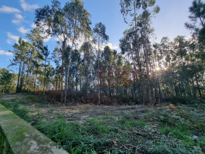 Terreno para Venda em Alvelos