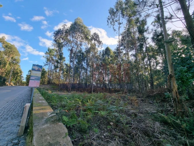 Terreno para Venda em Alvelos Foto 2