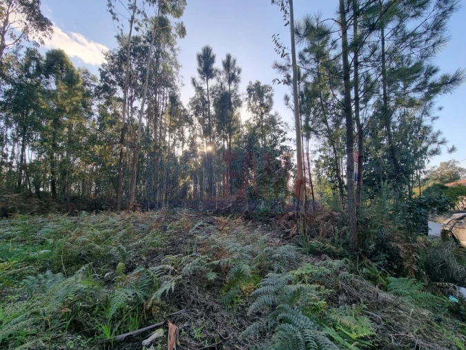 Terreno para Venda em Alvelos Foto 3