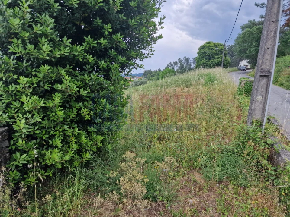 Terreno para Venda em Gamil e Midões Foto 4