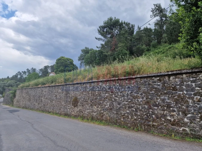 Terreno para Venda em Gamil e Midões Foto 6