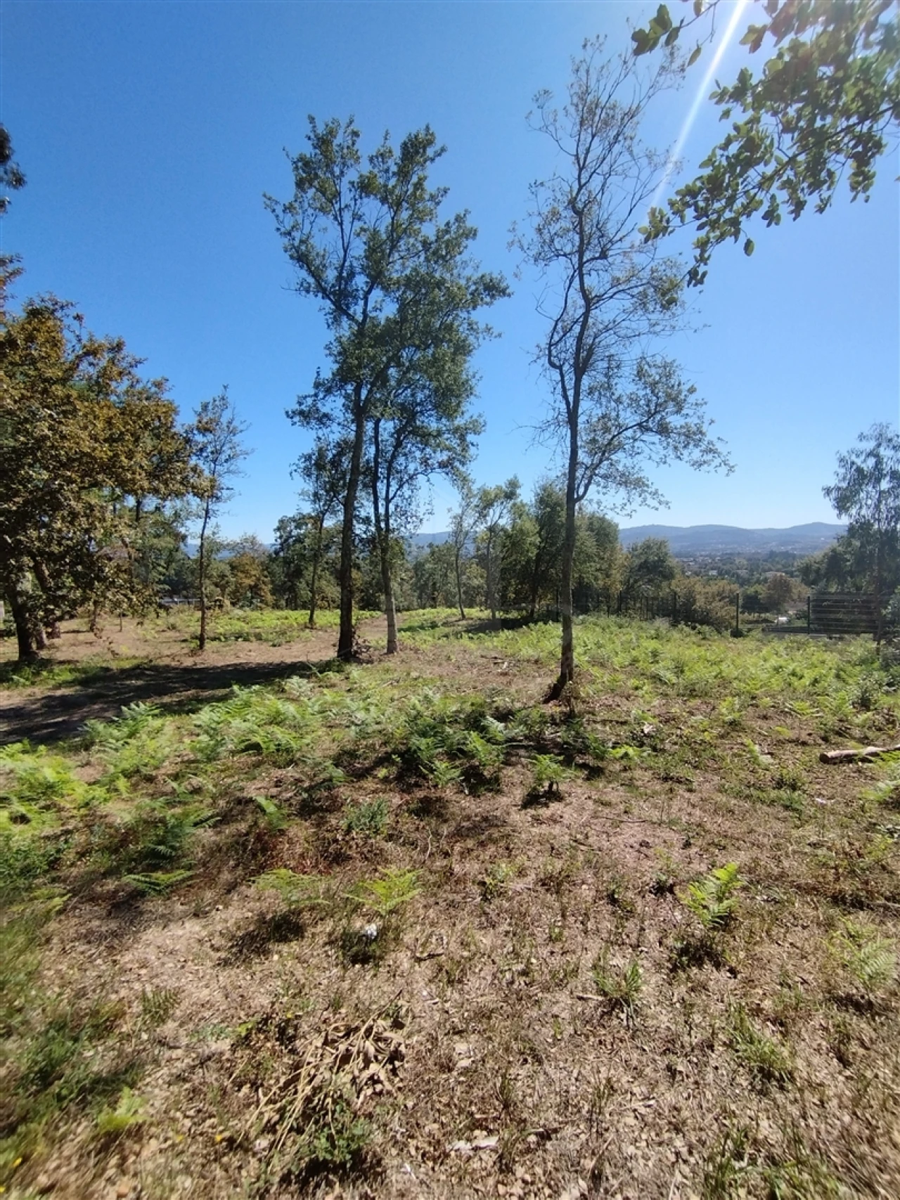 Terreno para Venda em Turiz Foto 1