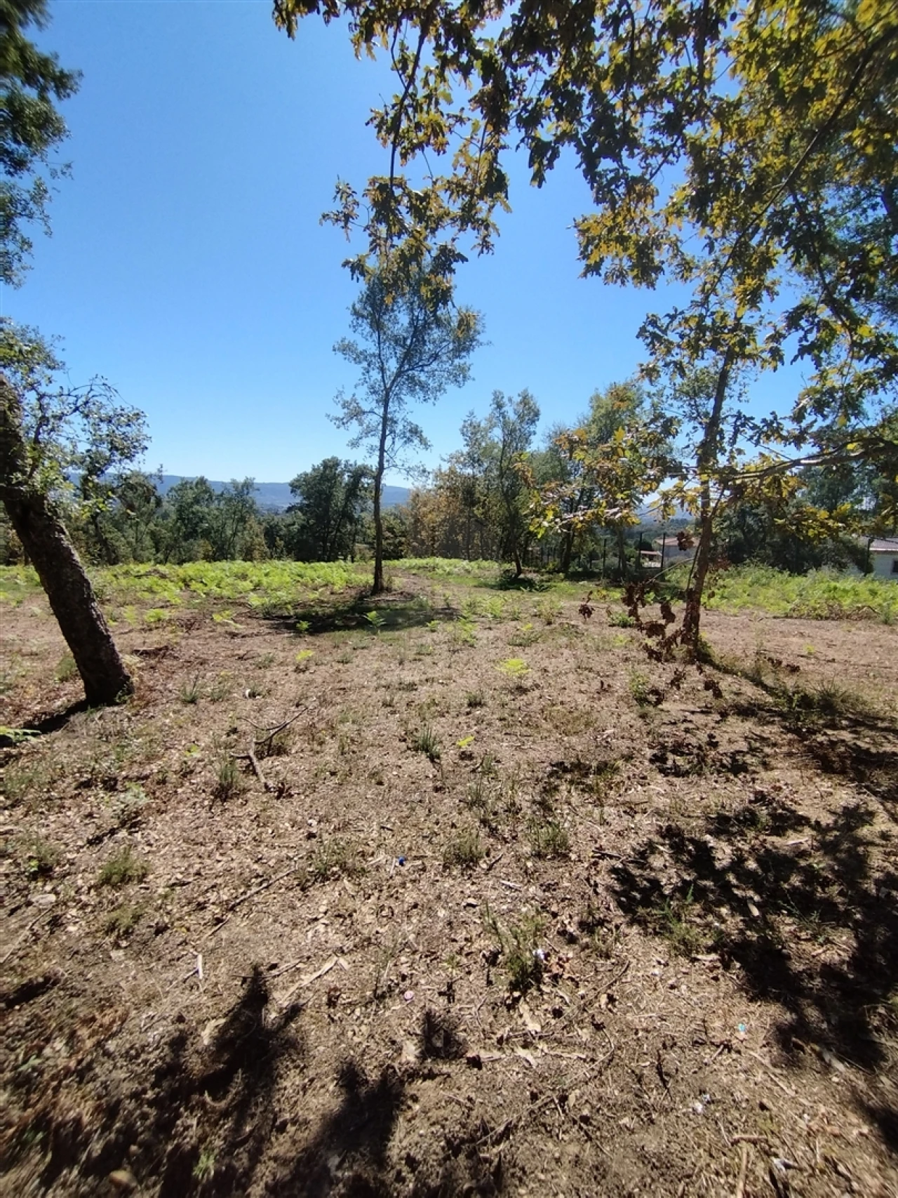 Terreno para Venda em Turiz Foto 10