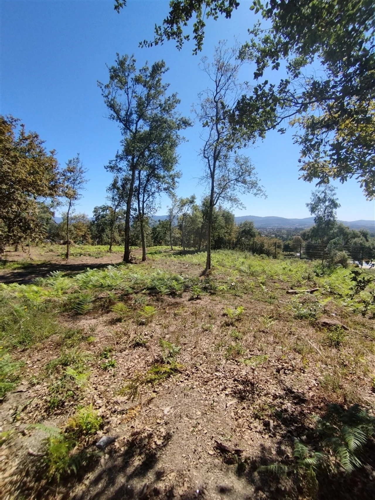 Terreno para Venda em Turiz Foto 2