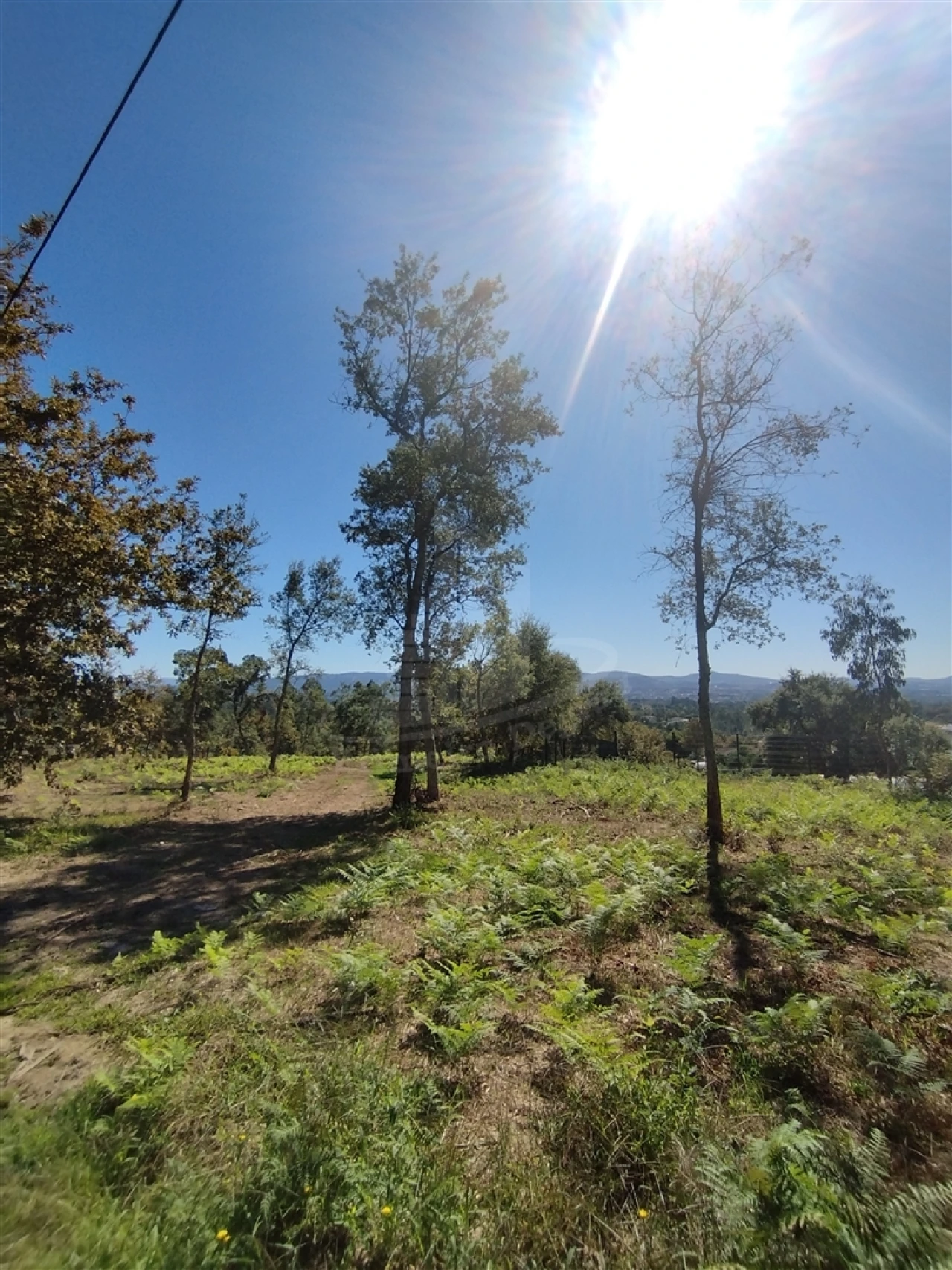 Terreno para Venda em Turiz Foto 7