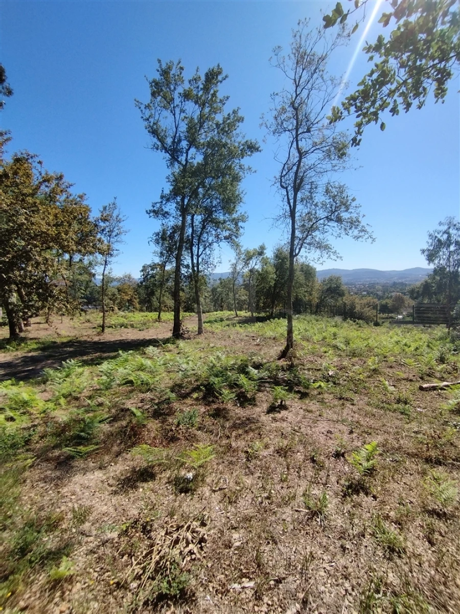 Terreno para Venda em Turiz