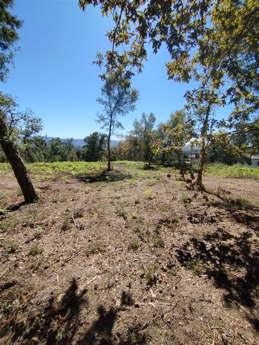 Terreno para Venda em Turiz Foto 10