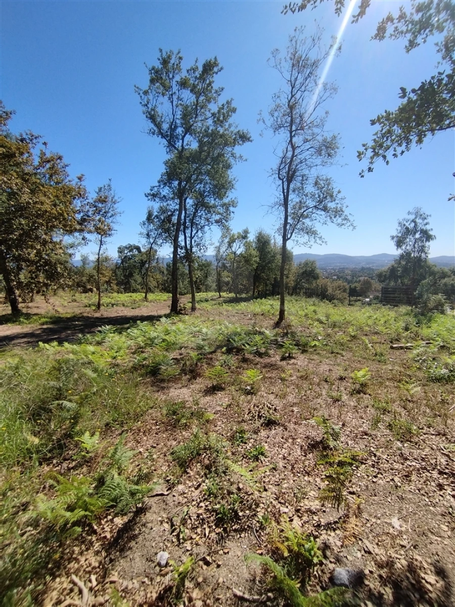 Terreno para Venda em Turiz Foto 4